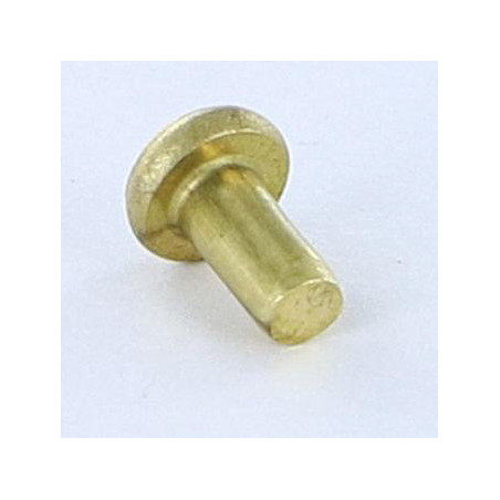 1 x Rivet à frapper Tête plate 3X5.5 Diamètre de tête: 5.5 EP1.3 Laiton