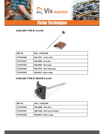 Vis autoperceuse avec cavalier monté pour toiture Type E1 RAL7022 gris tarre d'ombre 6.3X100