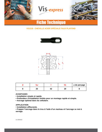 Cheville Pour PLAFOND et LUMINAIRE 8X42