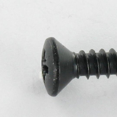 1 x Vis tôle Tête fraisée bombée TFB Pozi 4.8X16 Acier zingué noir