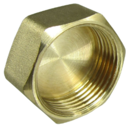 1 x Bouchon femelle Figure 300 20x27 (3/4") Laiton