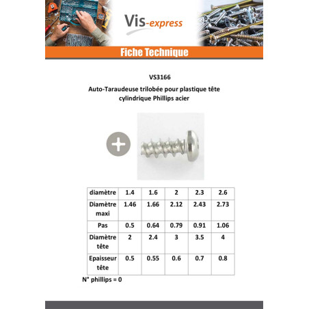 1 x Vis autotaraudeuse Pour Plastique Tête cylindrique TC Phillips n° 0 2X5 Acier zingué microvis