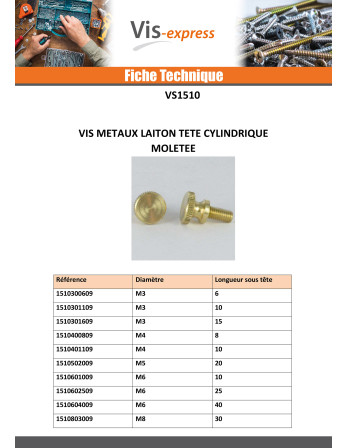 Vis métaux Laiton Tête cylindrique TC Moletée M5X20