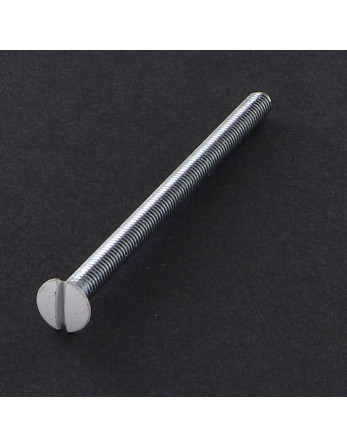 Vis métaux Tête fraisée bombée TFB Fendue M4X70 Acier zingué Tête RAL9016 blanc signalisation