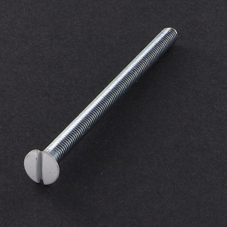 1 x Vis métaux Tête fraisée bombée TFB Fendue M4X70 Acier zingué Tête RAL9016 blanc signalisation