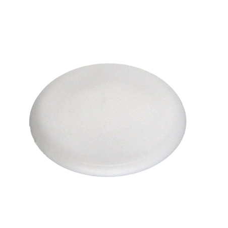 1 x Cache tête de vis TORX T30 Diamètre de tête: 16.5 Polyéthylène blanc