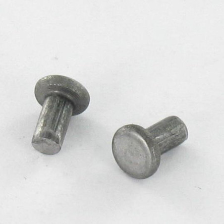 1 x Rivet à frapper Tête plate 2.6X20 Diamètre de tête: 4.5 EP1.2 Acier brut