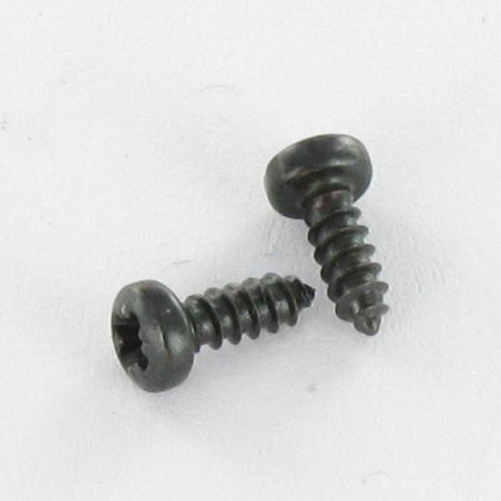 1 x Vis tôle tête cylindrique bombée large Pozi 6.3X19 Acier zingué noir