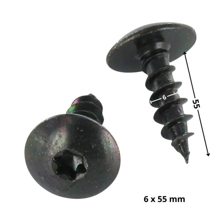 1 x Vis Penture 6X55 Filetée sur 55 TORX T30 Acier zingué noir