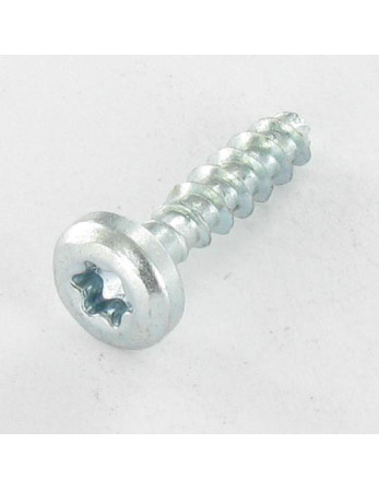 VBA Vis bois agglo Tête ronde TR TORX T20 4X16 Sans pointe Acier zingué