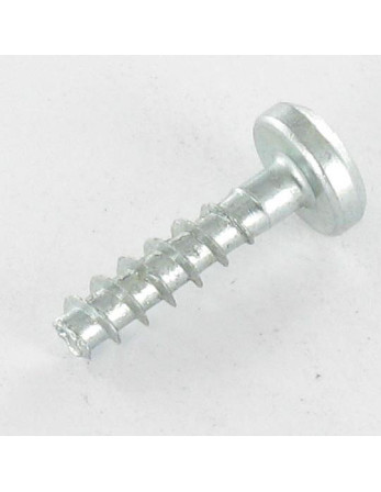 VBA Vis bois agglo Tête ronde TR TORX T20 4X16 Sans pointe Acier zingué