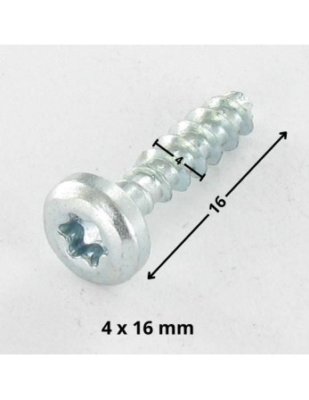 VBA Vis bois agglo Tête ronde TR TORX T20 4X16 Sans pointe Acier zingué