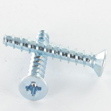 1 x Vis pvc TRILOBE Tête fraisée Pozi 2.5X10 FILET45 Acier zingué microvis