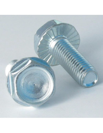 Vis autotaraudeuse Tête hexagonale TH Embase collerette crantée M10X30 Acier zingué
