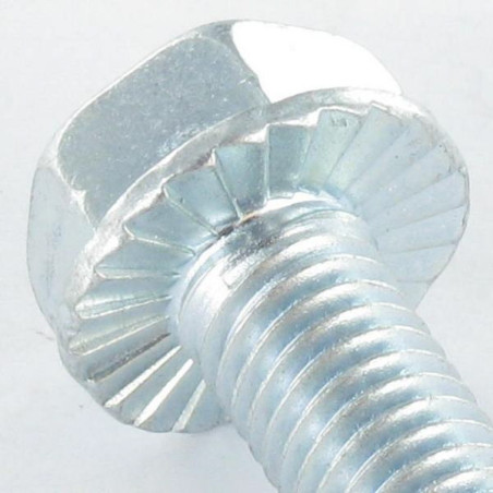 1 x Vis autotaraudeuse Tête hexagonale TH Embase collerette crantée M10X30 Acier zingué