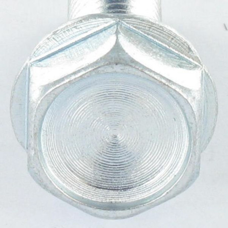 1 x Vis autotaraudeuse Tête hexagonale TH Embase collerette crantée M10X30 Acier zingué