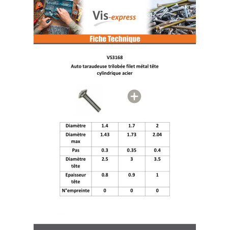 1 x Vis autotaraudeuse Filet Métaux Tête cylindrique TC Phillips M2X10 Acier zingué microvis