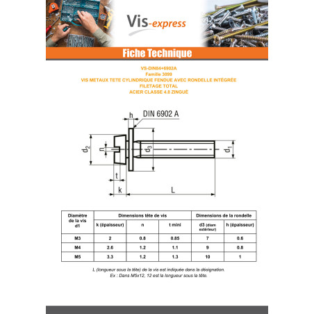 1 x Vis métaux Tête cylindrique TC Fendue Filetage total M5X10 Classe 4.8 Avec RD IMP Acier zingué