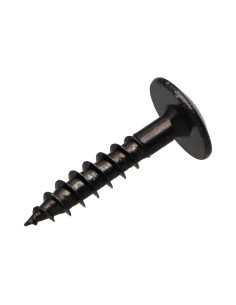 Vis Penture 5X40 Filetage total TORX T20 Acier zingué noir 2