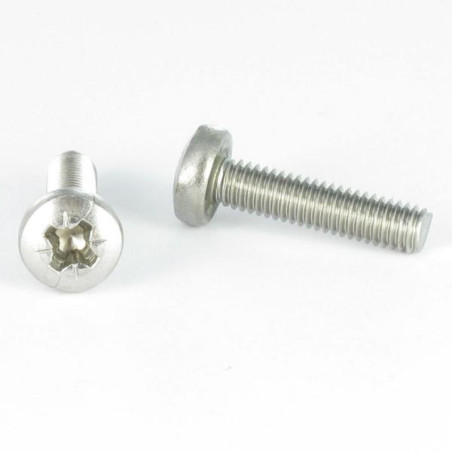 1 x Vis métaux tête cylindrique bombée large Pozi N°1 M3X6 Acier zingué microvis