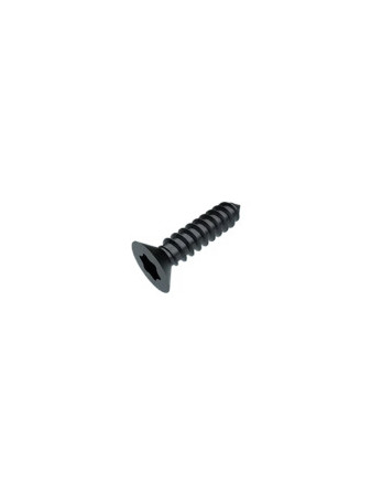 Vis tôle Tête fraisée TORX T20 4.2X19 Acier zingué noir