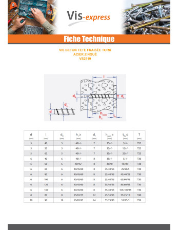 Vis béton Tête fraisée TORX 6X40 Acier zingué