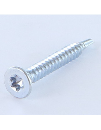 Vis autoperceuse Tête fraisée TORX T20 3.9X13 Acier zingué