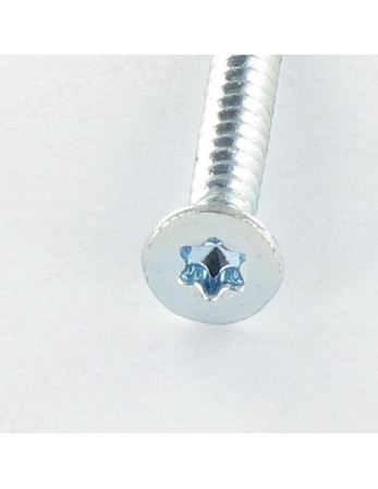 Vis autoperceuse Tête fraisée TORX T20 3.9X13 Acier zingué