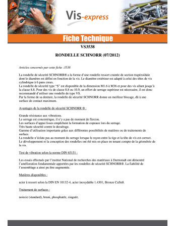 Rondelle SCHNORR M16 Acier brut Type S 430700
