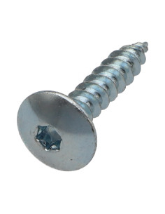 Vis Penture 6X25 Filetage total TORX T30 Acier zingué