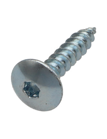 Vis Penture 6X25 Filetage total TORX T30 Acier zingué
