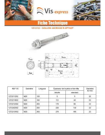 Goujon Ancrage R-XPTIIIZP M20X300 Acier zingué RAWLPLUG