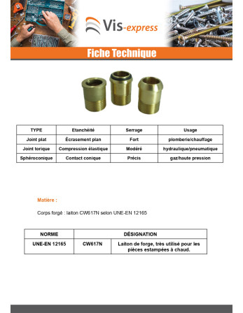 Raccord union droit joint torique 26x34 (1") Mâle/Femelle Laiton Figure 341