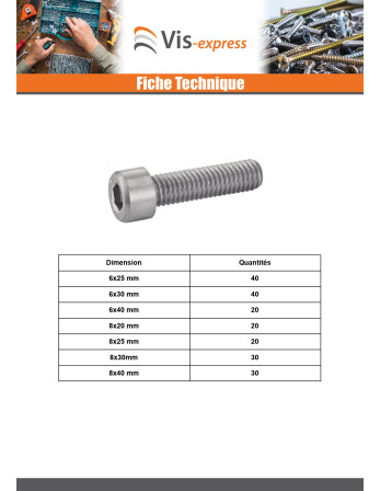 Assortiment de 620 Vis métaux CHC BTR Inox A4