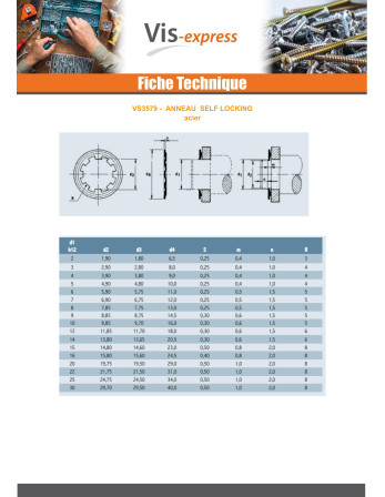 Anneau SELF LOCKING Diamètre 18 Acier brut