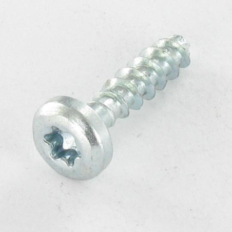 1 x VBA Vis bois agglo Tête ronde TR TORX T20 4X20 Sans pointe Acier zingué