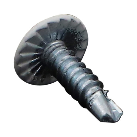 1 x Vis autoperceuse Tête ronde large Phillips Cranté 4.2X16 Acier zingué RAL 9016