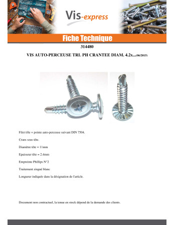 Vis autoperceuse Tête ronde large Phillips Cranté 4.2X16 Acier zingué RAL 9016