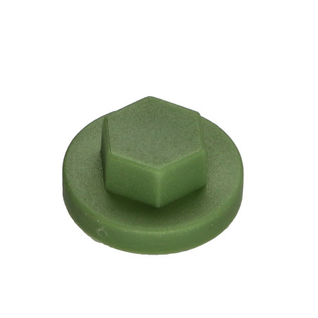 1 x Capuchon Tête hexagonale TH Polyéthylène RAL6011 vert reseda pour vis autoperceuse ou tole de diam 6.3