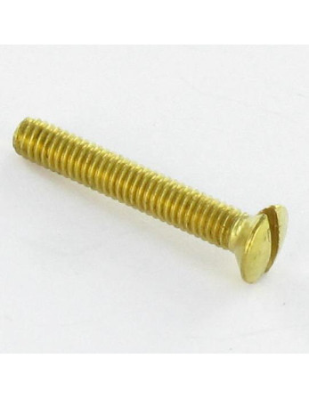 Vis métaux Laiton Tête fraisée bombée TFB Fendue M6X20