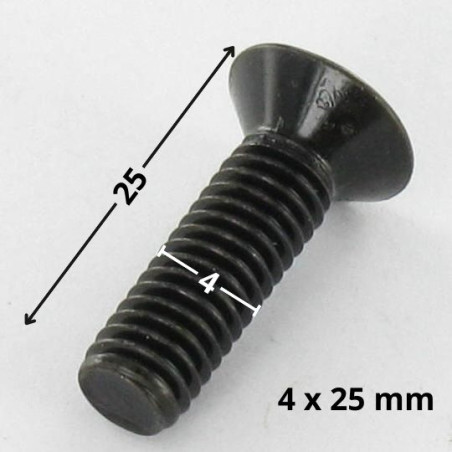 1 x Vis métaux Tête fraisée Pozi N°2 M4X25 Acier zingué noir