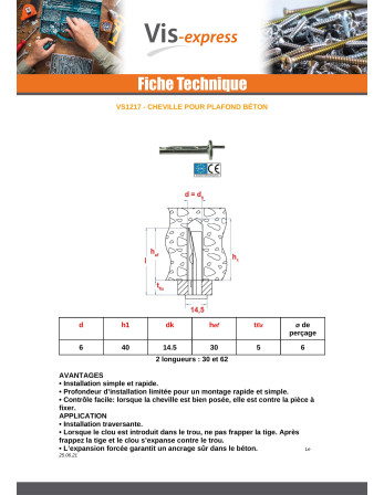 Cheville Pour PLAFOND Béton 6X62