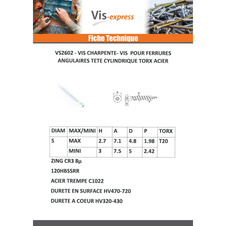 1 x Vis FERRURE ANGULAIRE Tête cylindrique TC TORX T20 Pointe antifendage type 17 Acier zingué 5X60