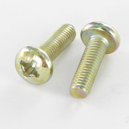 1 x Vis métaux tête cylindrique bombée large Pozi N°2 M5X16 Bichromaté