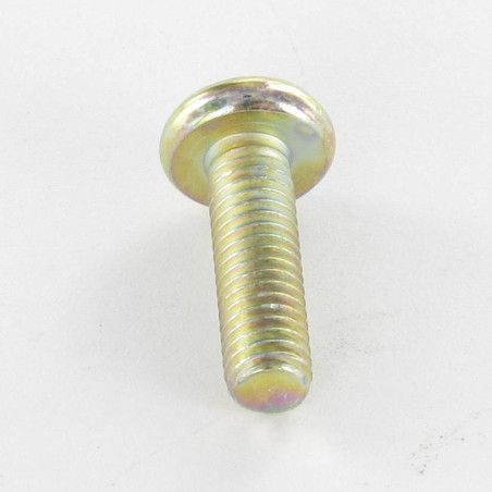 1 x Vis métaux tête cylindrique bombée large Pozi N°2 M5X16 Bichromaté