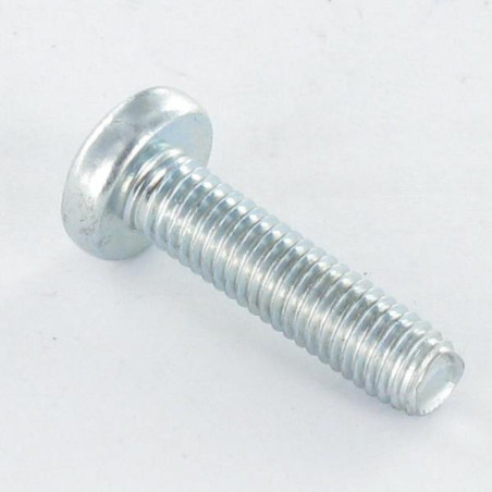 1 x Vis autotaraudeuse tête cylindrique bombée large M2X6 TORX T6 Acier zingué microvis