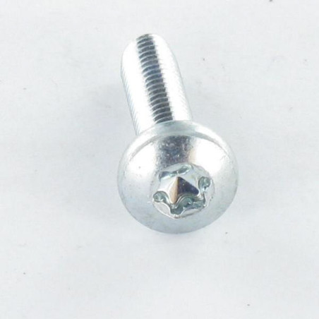 1 x Vis autotaraudeuse tête cylindrique bombée large M2X6 TORX T6 Acier zingué microvis