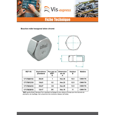 1 x Bouchon femelle Figure 300 50x60 (2") Laiton