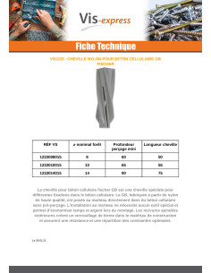 Cheville Béton CELLULAIRE Fischer GB14 2