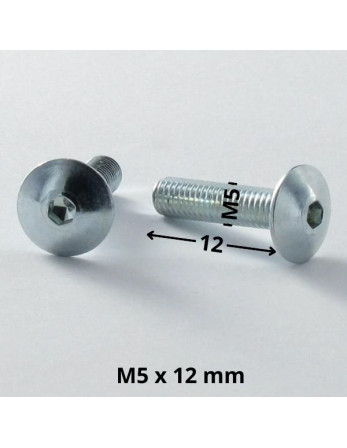 Vis Poelier M5X12 Clé de 3 HC3 Acier zingué